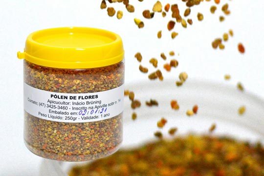 O pólen é um suplemento alimentar completo contendo todos os aminoácidos essenciais, e ainda: vitaminas, minerais, açucares, pigmentos, fibras vegetais e enzimas